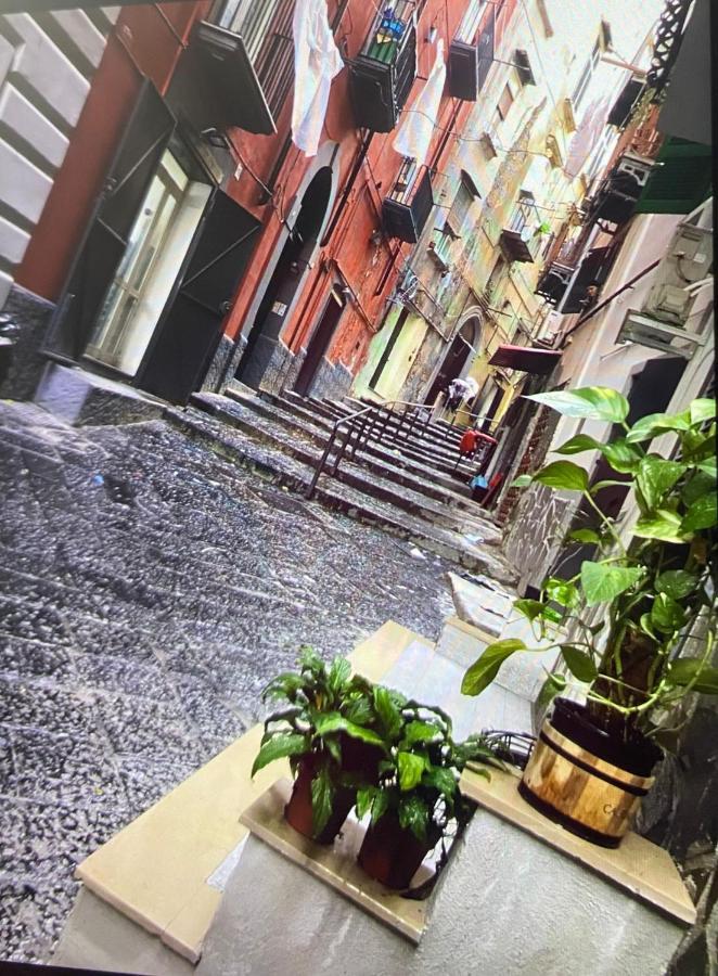 Casa Mari' Centro Storico Vicino Hotel Caracciolo Napoli Dış mekan fotoğraf