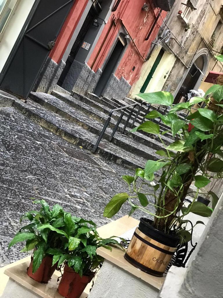 Casa Mari' Centro Storico Vicino Hotel Caracciolo Napoli Dış mekan fotoğraf